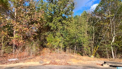 7408 Creek Trace Way unit 404, Bessemer, AL 35022 - photo 3