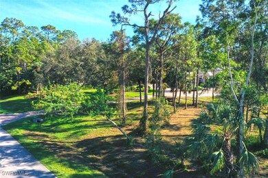 View of property's community featuring a yard