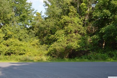 36 - F Sleepy Hollow Lake Rd, Athens, NY 12015 - photo 3