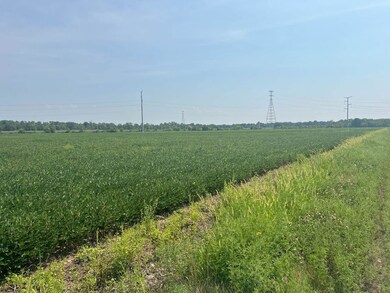 00 Sandy Bend Rd, Frederick, IL 62639 - photo 7