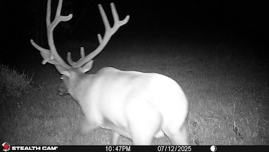 Tbd 123 Monroe Canyon Rd, Monroe, UT 84754 - photo 2