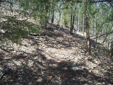 Gentle Slope to the Lake