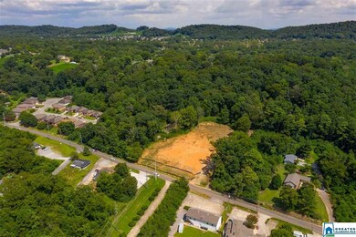 2225 Old Springville Rd unit lot 4-6, Center Point, AL 35215 - photo 4