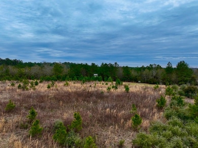 741 Beach Rd, Columbia, MS 39429 - photo 3