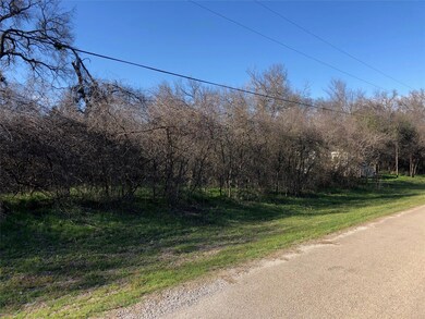 354 Lipan Trail, Horseshoe Bend, TX 76087 - photo 3