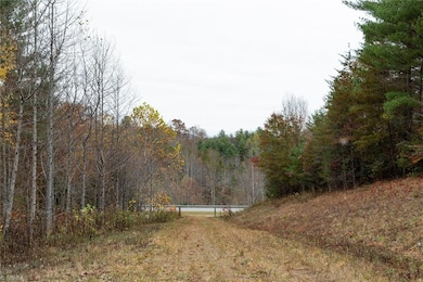 TBD W Us Highway 421, Ferguson, NC 28624 - photo 5