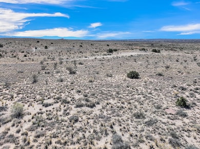 1031 Tascal Ct NE, Rio Rancho, NM 87144 - photo 7