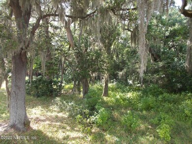 Wooded lot