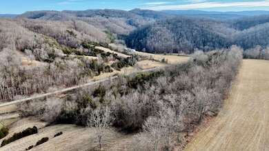 DJI_0244