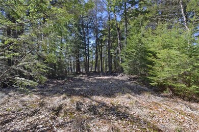 Maine Land for Sale in Lincoln