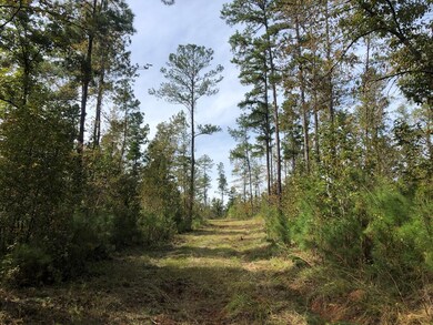 59.65 Ac White Rock Rd, Lincolnton, GA 30817 - photo 6