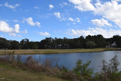 1215 Big Dataw Point, Saint Helena Island, SC 29920 - photo 4