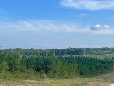 3679 Chelsea Rd, Columbiana, AL 35051 - photo 2