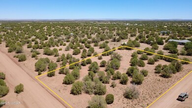 4409 E Pinto Rd, Snowflake, AZ 85937 - photo 2