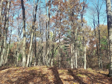 French Rd, Amberg, WI 54156 - photo 6