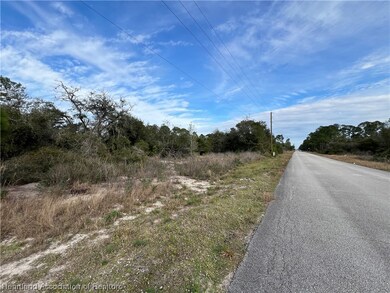 324 Jack Weisser Blvd, Lake Placid, FL 33852 - photo 4