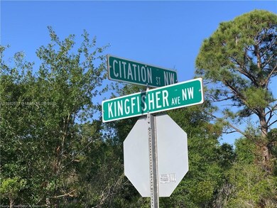 105 Citation St NW, Lake Placid, FL 33852 - photo 5