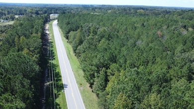 0 Twin Bridges Rd unit 11579160, Eatonton, GA 31024 - photo 2