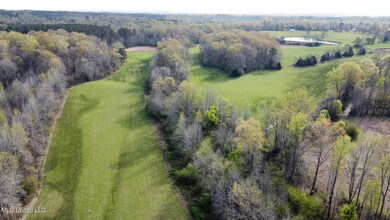 dji_fly_20230316_093616_637_167897774977