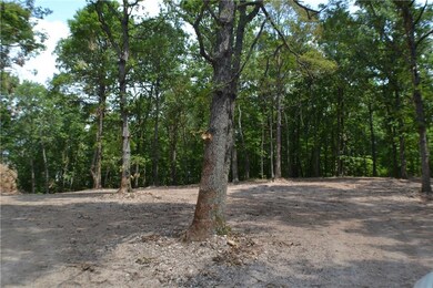 0 Gailey Hollow Rd unit 1046409, Siloam Springs, AR 72761 - photo 5