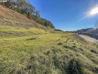 817 N View Dr, Roseburg North, OR 97495 - photo 4