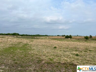 1010 Bottoms Rd E, Troy, TX 76579 - photo 7