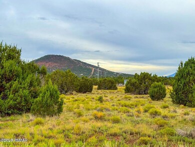 908 E Hoctor Rd, Williams, AZ 86046 - photo 4