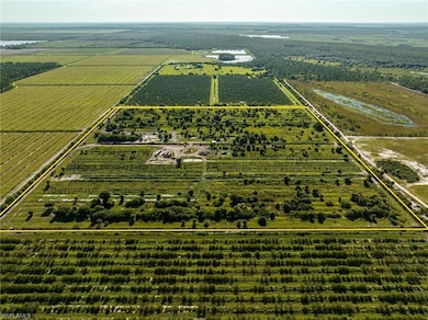 21999 Carter Rd, Estero, FL 33928 - photo 7