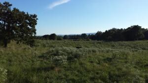 0 Karen St, Harrison, AR 72601 - photo 6