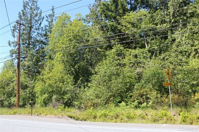 5441 E Grapeview Loop Rd, Allyn, WA 98524 - photo 4