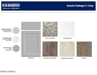 DRH PF  - Interior Package - Gray