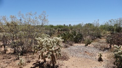Desert landacape