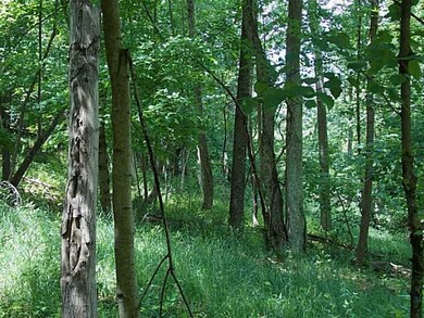 0 Sugar Grove Rd unit 213018656, Sugar Grove, OH 43155 - photo 7