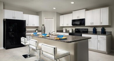 31343 Sun Kettle Loop, Wesley Chapel, FL 33545 - photo 3