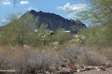 3223 S Desert Echo Rd, Tucson, AZ 85735 - photo 4