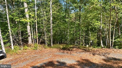 14 Mechunk Terrace, Lake Monticello, VA 22963 - photo 7