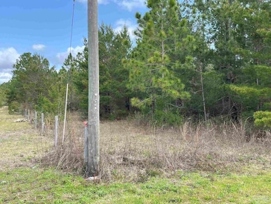 down west line along fence