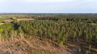 White Pond Ridge Estate SC Land for Sale