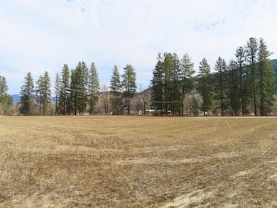 Tbd Highway 21 N, Danville, WA 99121 - photo 4