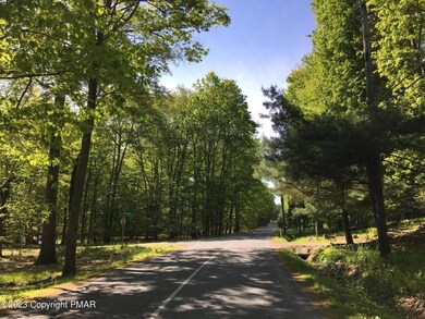 615 Locust Ln, Pocono Lake, PA 18347 - photo 6