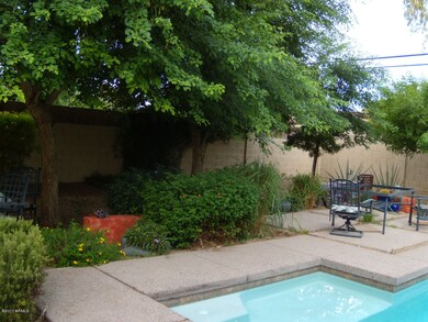 Side Yard