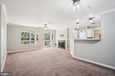 11005 Kinship Ct unit 303, Manassas, VA 20109 - photo 6