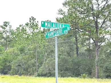 4021 W Malaluka Cir, Dunnellon, FL 34433 - photo 2