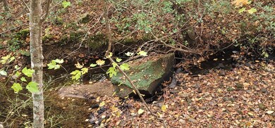 0 State Hwy 111 unit RTC2995387, Spencer, TN 38585 - photo 6