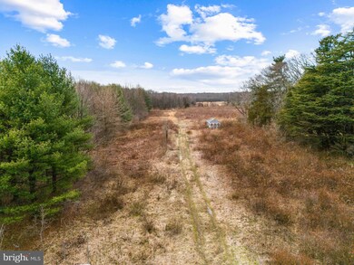 555 Meadow Rd, Princeton, NJ 08540 - photo 4