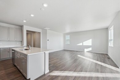 1398 Farmstead St, Brighton, CO 80601 - photo 7