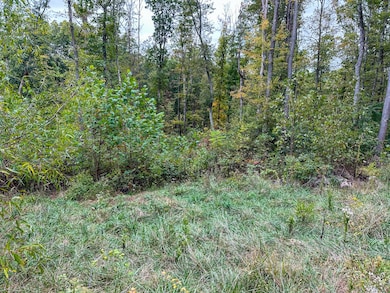 0 Lower Twin Rd, South Salem, OH 45681 - photo 7