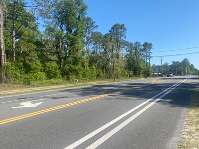 3328 Crawfordville Hwy, Crawfordville, FL 32327 - photo 2