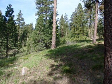 Sloped & Wooded Terrain