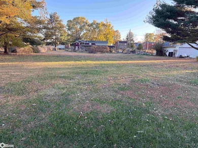 2040 Young St, Nauvoo, IL 62354 - photo 3